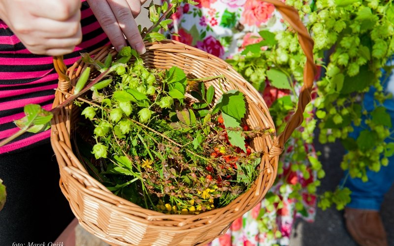 PIKNIK 2012 094